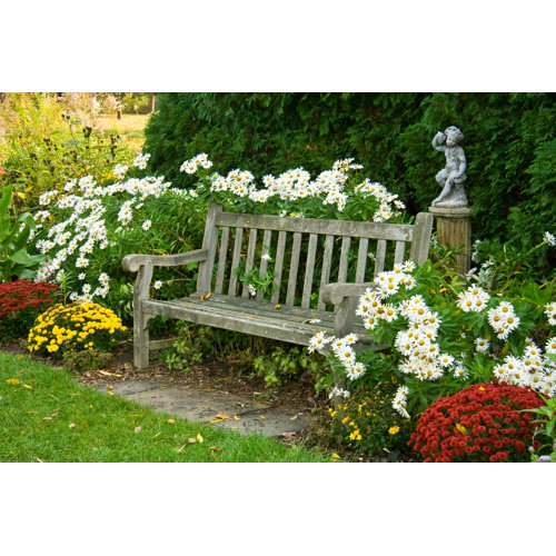 Wildon Home® Park Bench In Arboretum On Canvas Photograph Wayfair